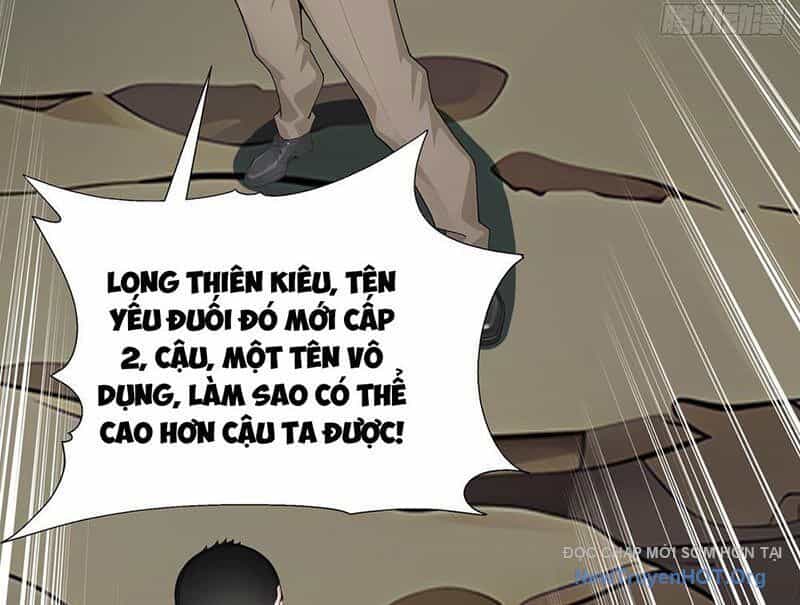 Thái Cổ Thập Hung: Người Khác Ngự Thú Ta Ngự Thú Nương - Chương 5 - ảnh 125