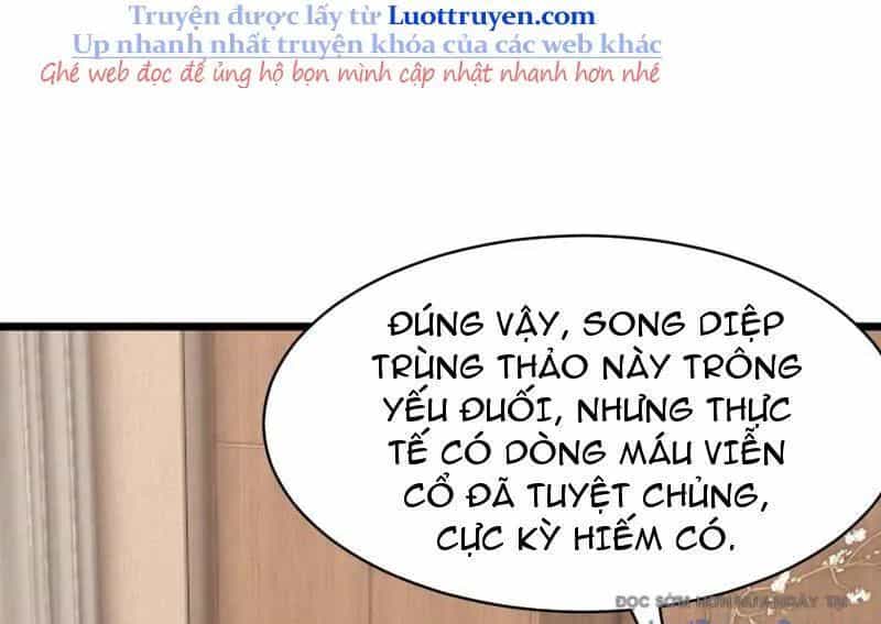 Thái Cổ Thập Hung: Người Khác Ngự Thú Ta Ngự Thú Nương - Chương 70 - ảnh 100