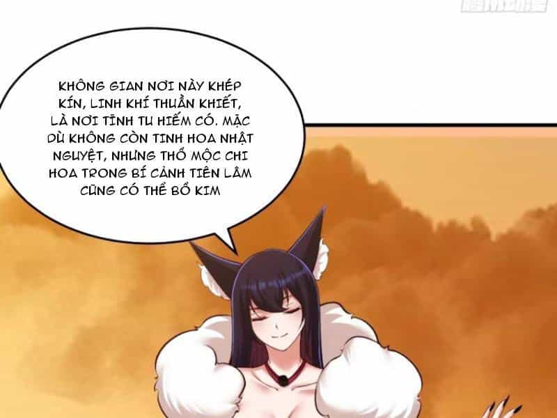 Thái Cổ Yêu Thánh Lấy Ta Làm Lô Đỉnh - Chương 75 - ảnh 42