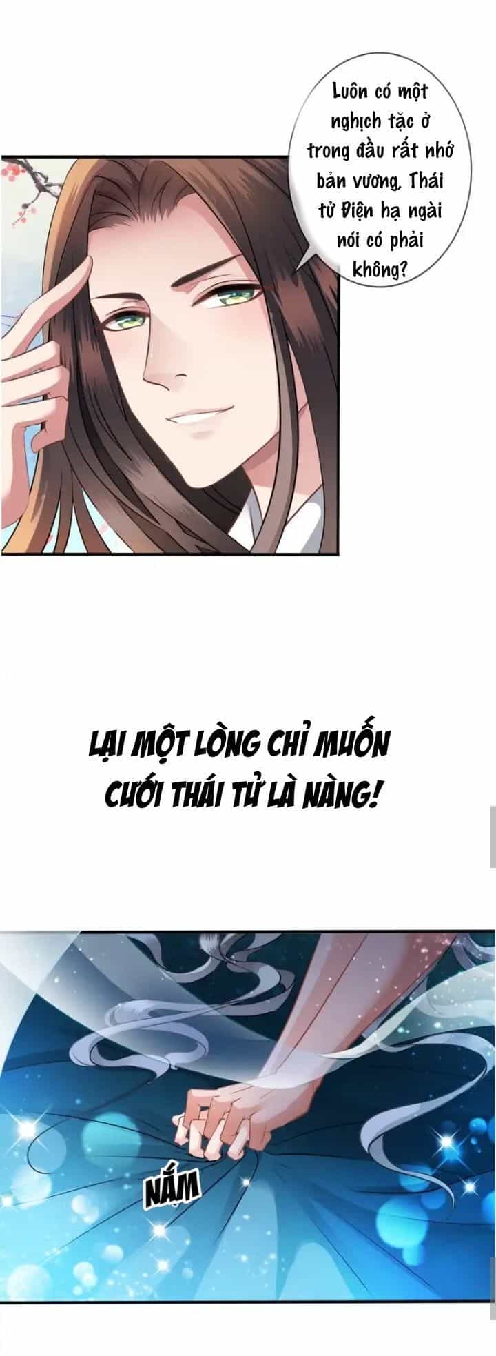 Thái Tử Điện Hạ Có Tin Vui - Chương 0 - ảnh 8