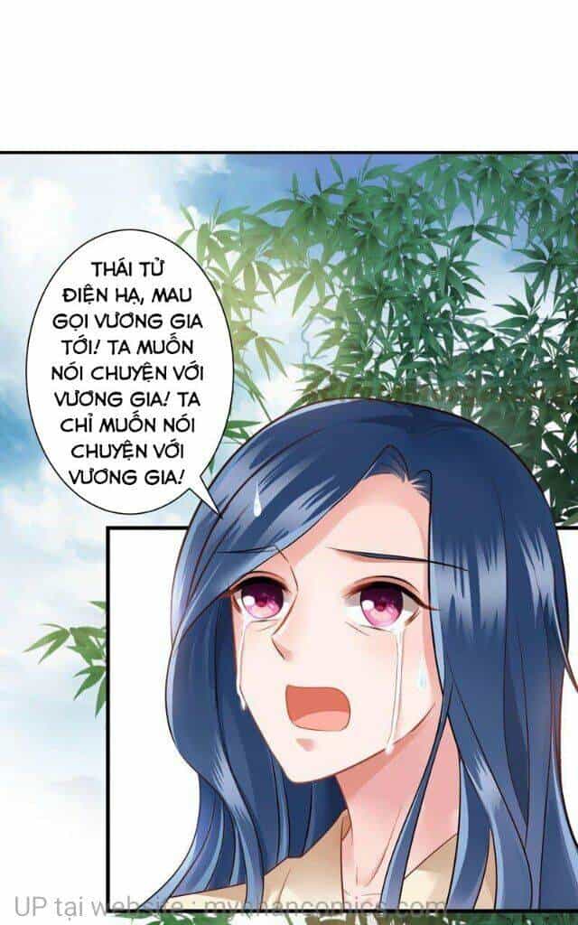 Thái Tử Điện Hạ Có Tin Vui - Chương 126 - ảnh 1