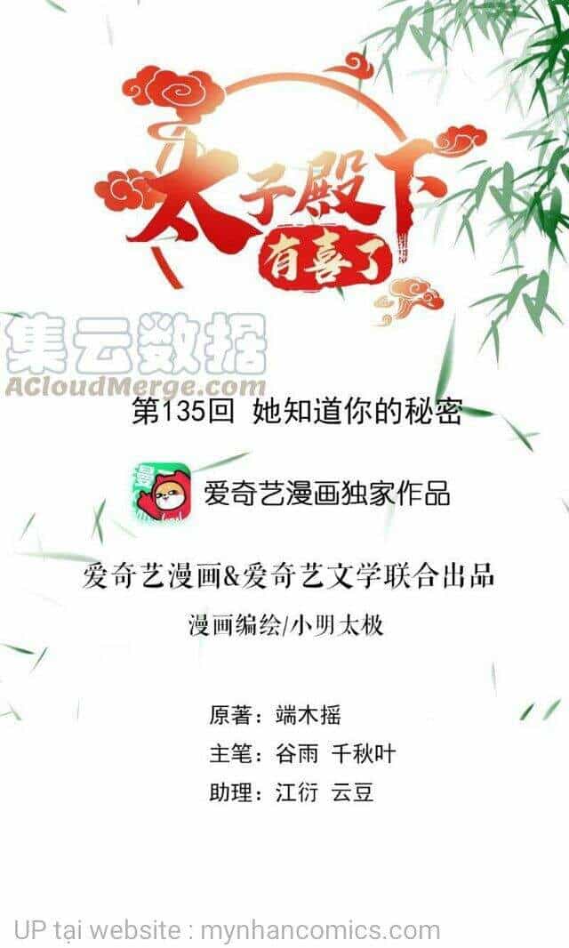 Thái Tử Điện Hạ Có Tin Vui - Chương 135 - ảnh 1