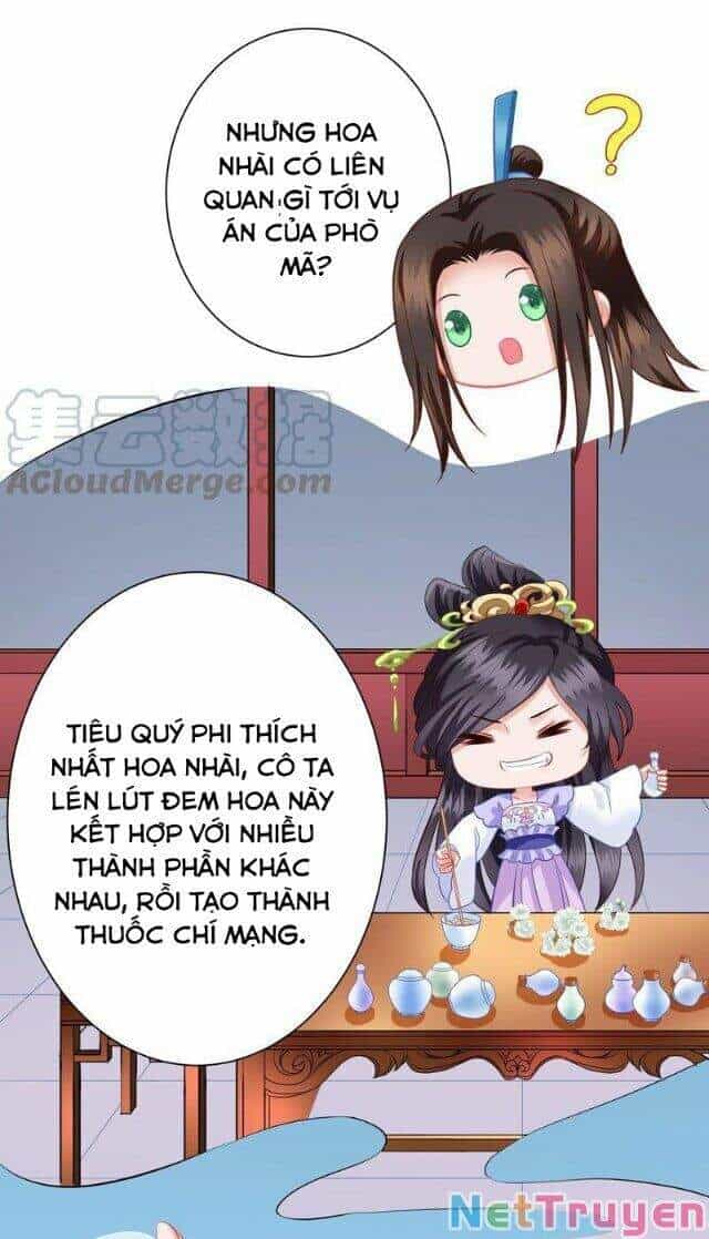 Thái Tử Điện Hạ Có Tin Vui - Chương 139 - ảnh 19