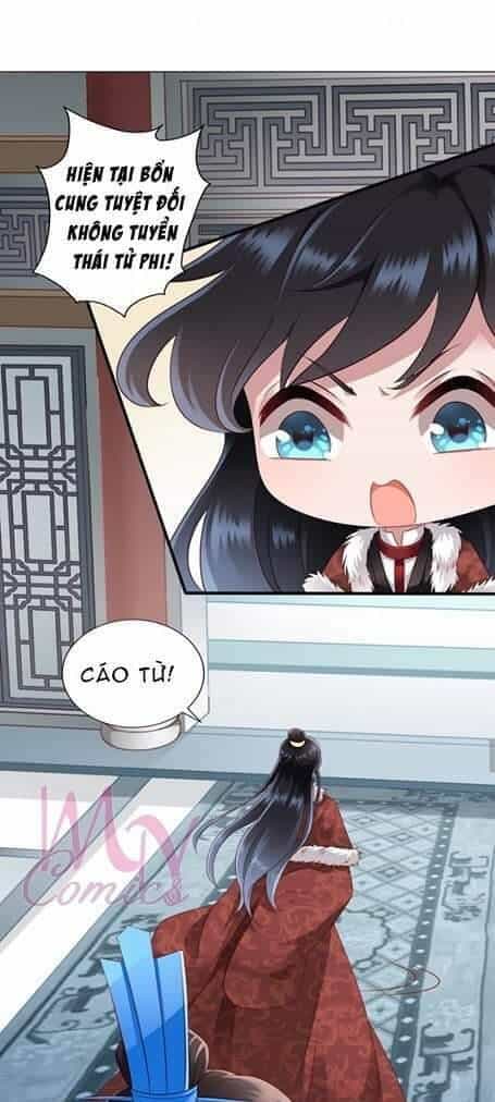 Thái Tử Điện Hạ Có Tin Vui - Chương 19 - ảnh 7