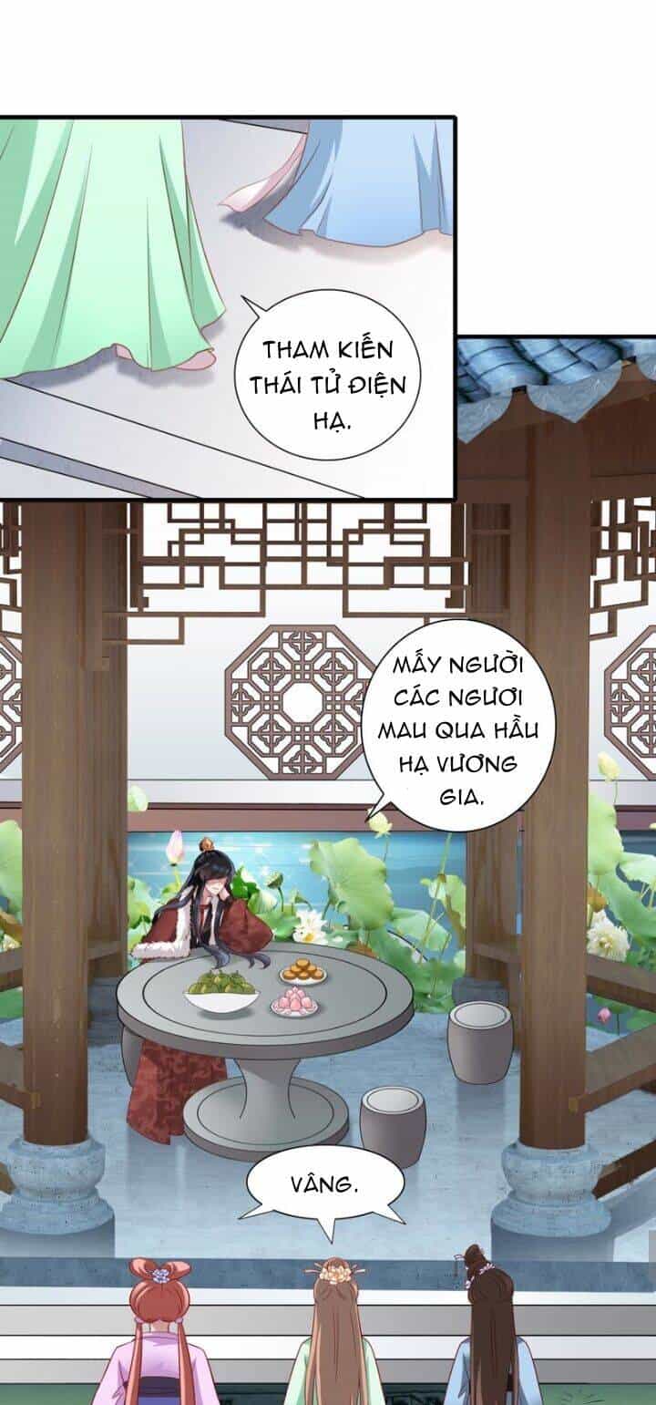 Thái Tử Điện Hạ Có Tin Vui - Chương 21 - ảnh 13