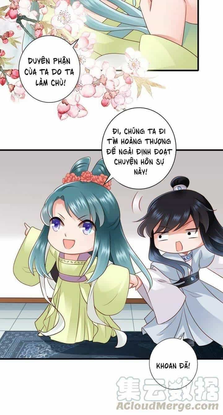 Thái Tử Điện Hạ Có Tin Vui - Chương 36 - ảnh 18