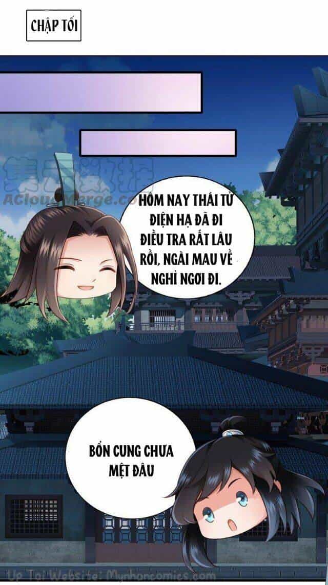 Thái Tử Điện Hạ Có Tin Vui - Chương 41 - ảnh 16