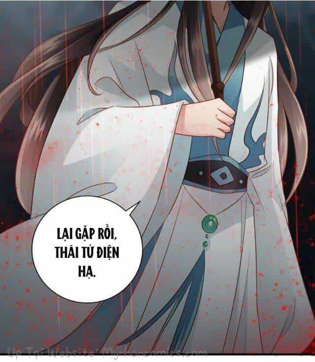 Thái Tử Điện Hạ Có Tin Vui - Chương 43 - ảnh 16