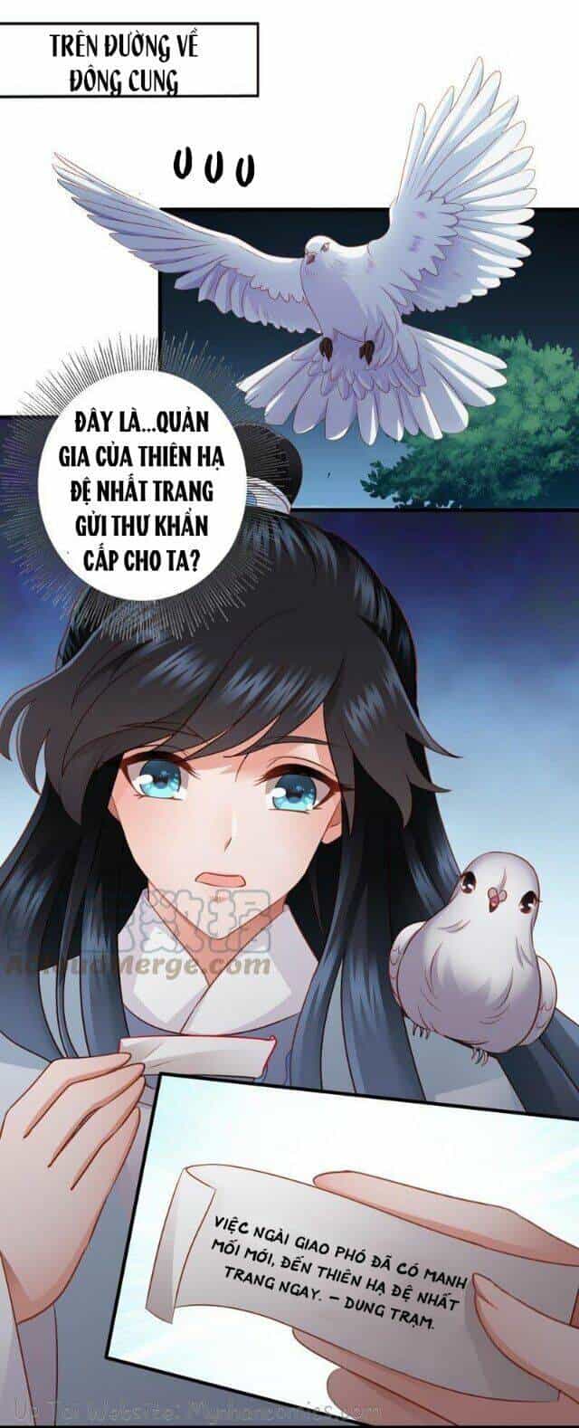 Thái Tử Điện Hạ Có Tin Vui - Chương 43 - ảnh 24