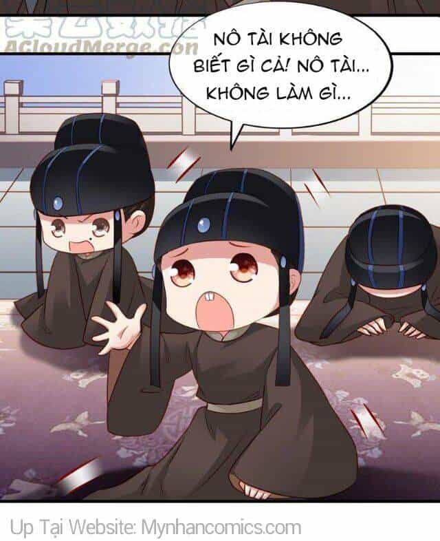 Thái Tử Điện Hạ Có Tin Vui - Chương 65 - ảnh 17