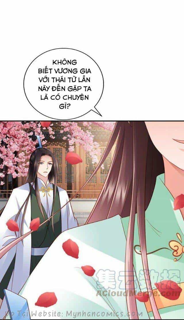 Thái Tử Điện Hạ Có Tin Vui - Chương 66 - ảnh 13