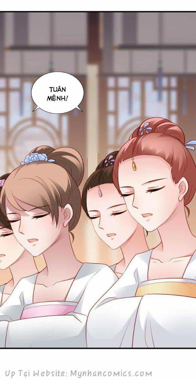 Thái Tử Điện Hạ Có Tin Vui - Chương 77 - ảnh 18