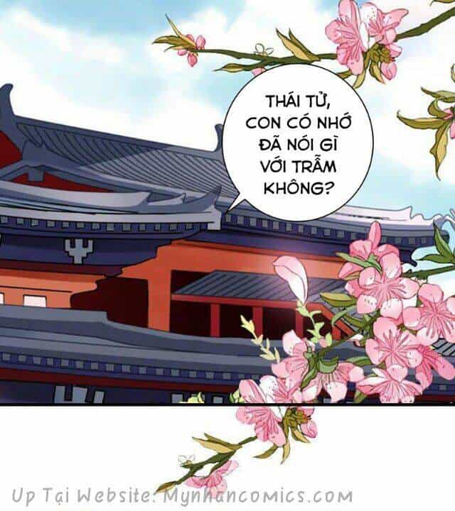 Thái Tử Điện Hạ Có Tin Vui - Chương 77 - ảnh 23