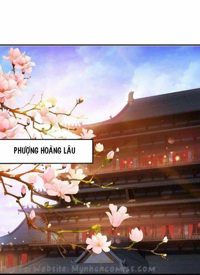 Thái Tử Điện Hạ Có Tin Vui - Chương 78 - ảnh 13