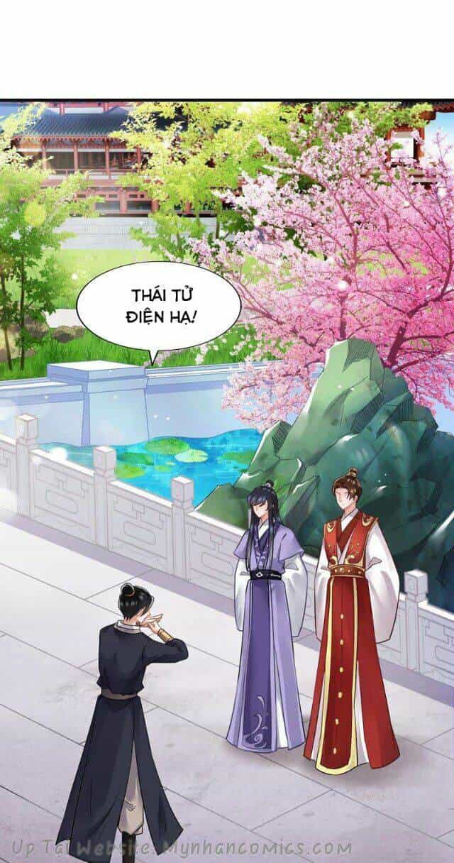 Thái Tử Điện Hạ Có Tin Vui - Chương 78 - ảnh 9