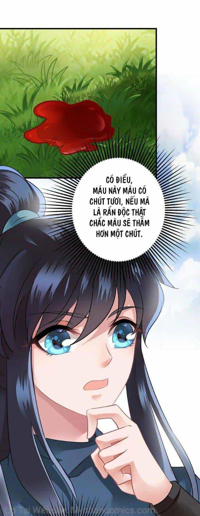 Thái Tử Điện Hạ Có Tin Vui - Chương 94 - ảnh 6