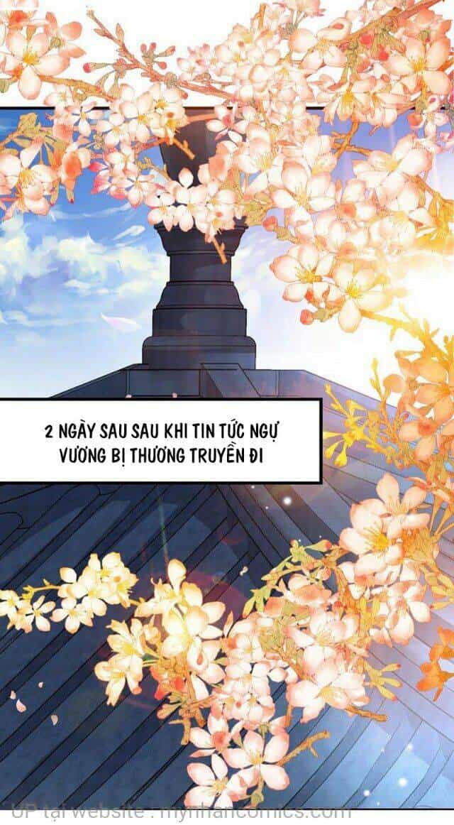 Thái Tử Điện Hạ Có Tin Vui - Chương 119 - ảnh 11