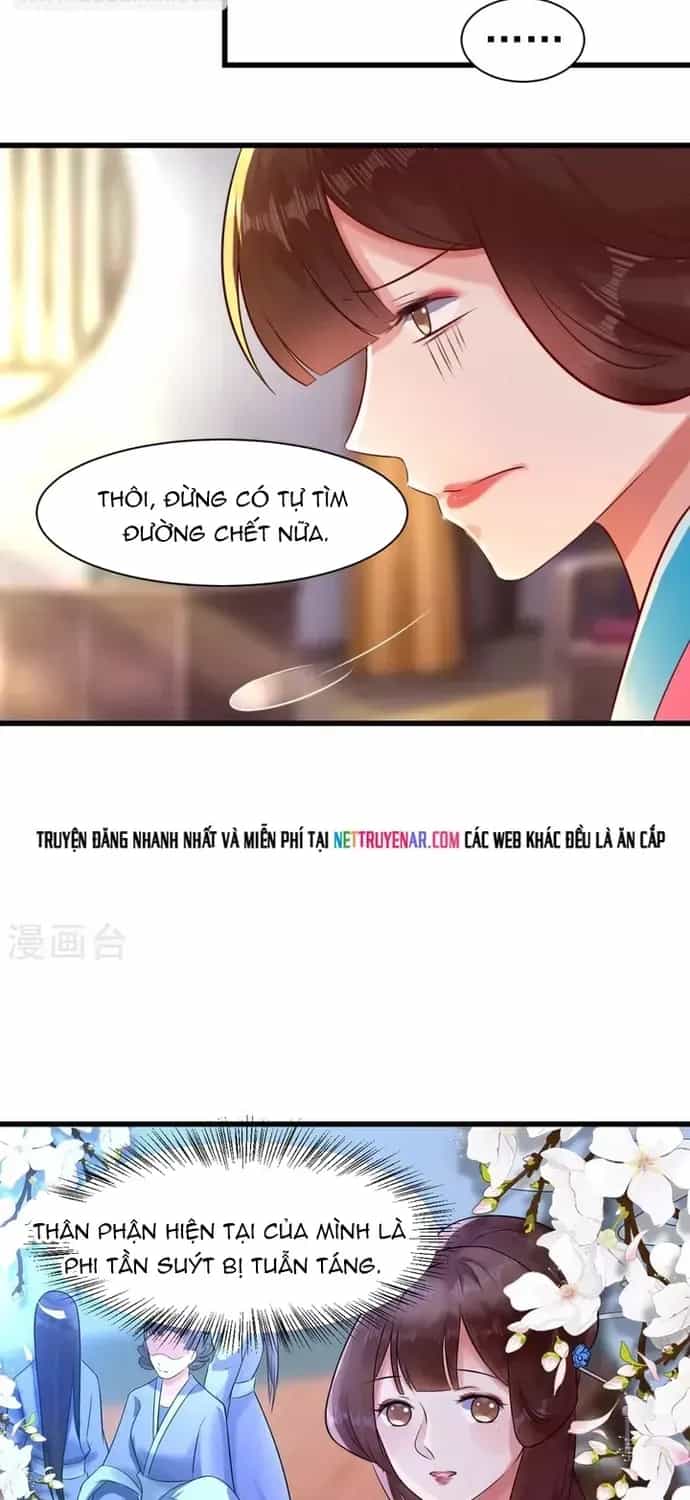 Thái Tử Điện Hạ Dưỡng Thành Kí - Chương 14 - ảnh 12