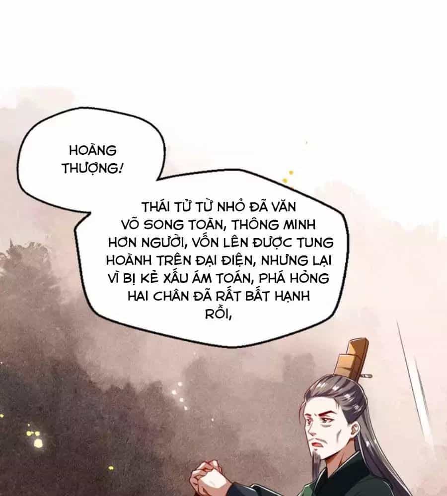 Thái Tử Điện Hạ, Nô Tài Có Hỉ Rồi - Chương 19 - ảnh 39