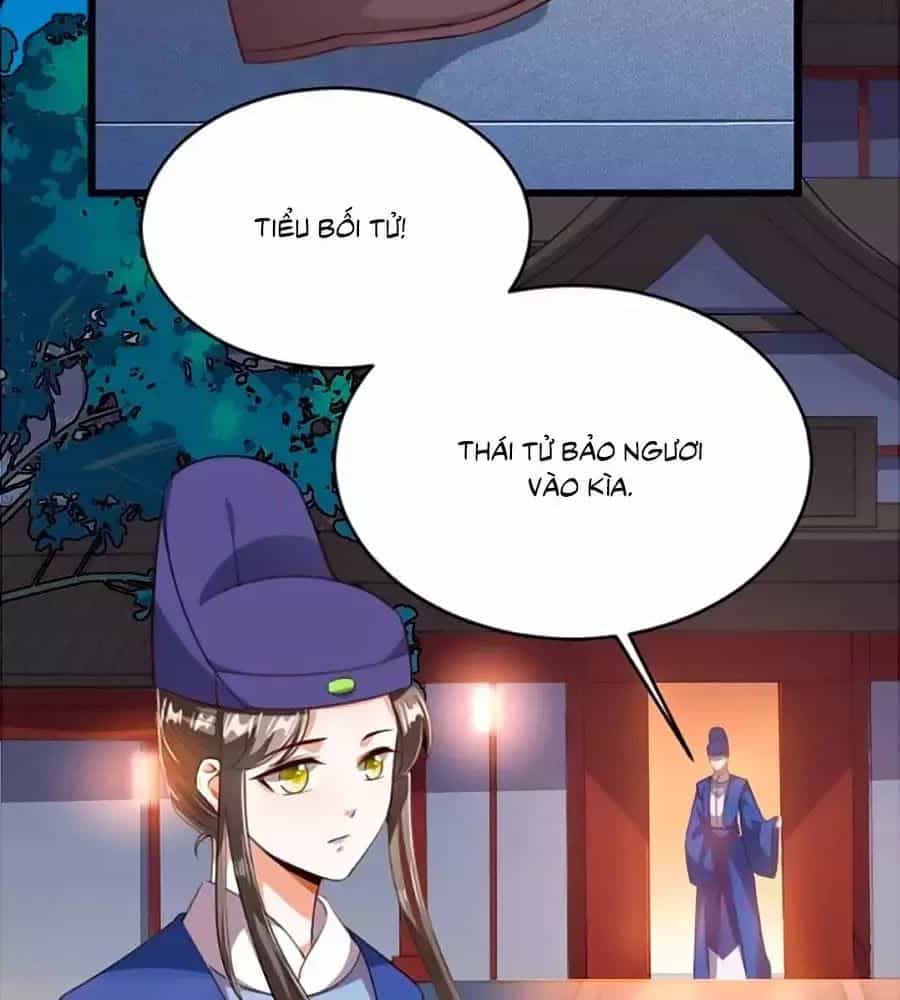 Thái Tử Điện Hạ, Nô Tài Có Hỉ Rồi - Chương 20 - ảnh 31