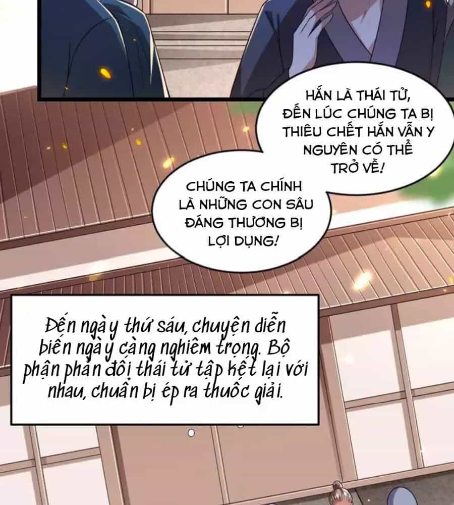 Thái Tử Điện Hạ, Nô Tài Có Hỉ Rồi - Chương 35 - ảnh 18