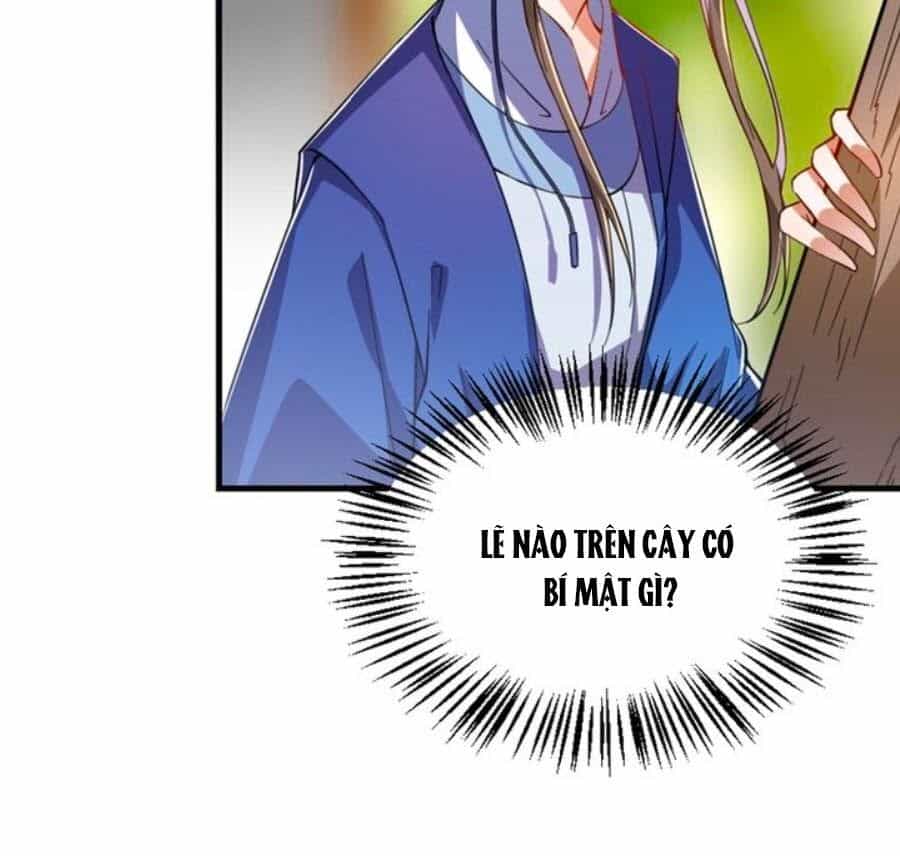 Thái Tử Điện Hạ, Nô Tài Có Hỉ Rồi - Chương 41 - ảnh 23