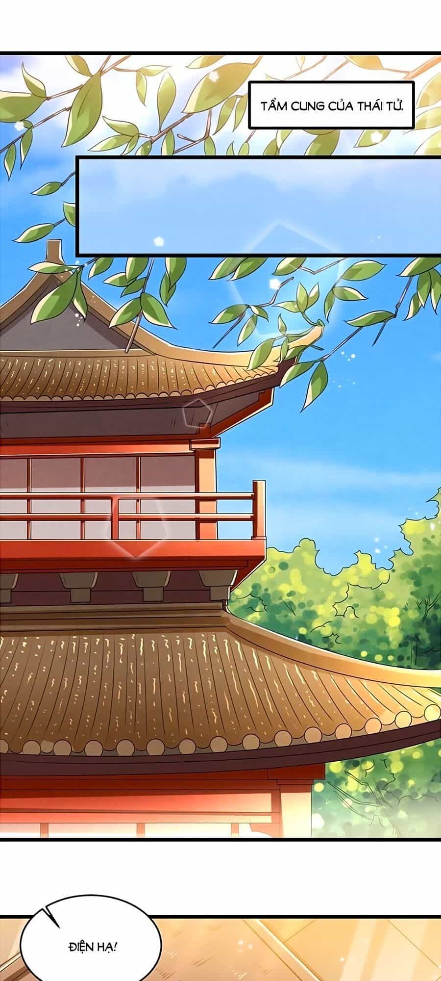 Thái Tử Điện Hạ, Nô Tài Có Hỉ Rồi - Chương 9 - ảnh 11