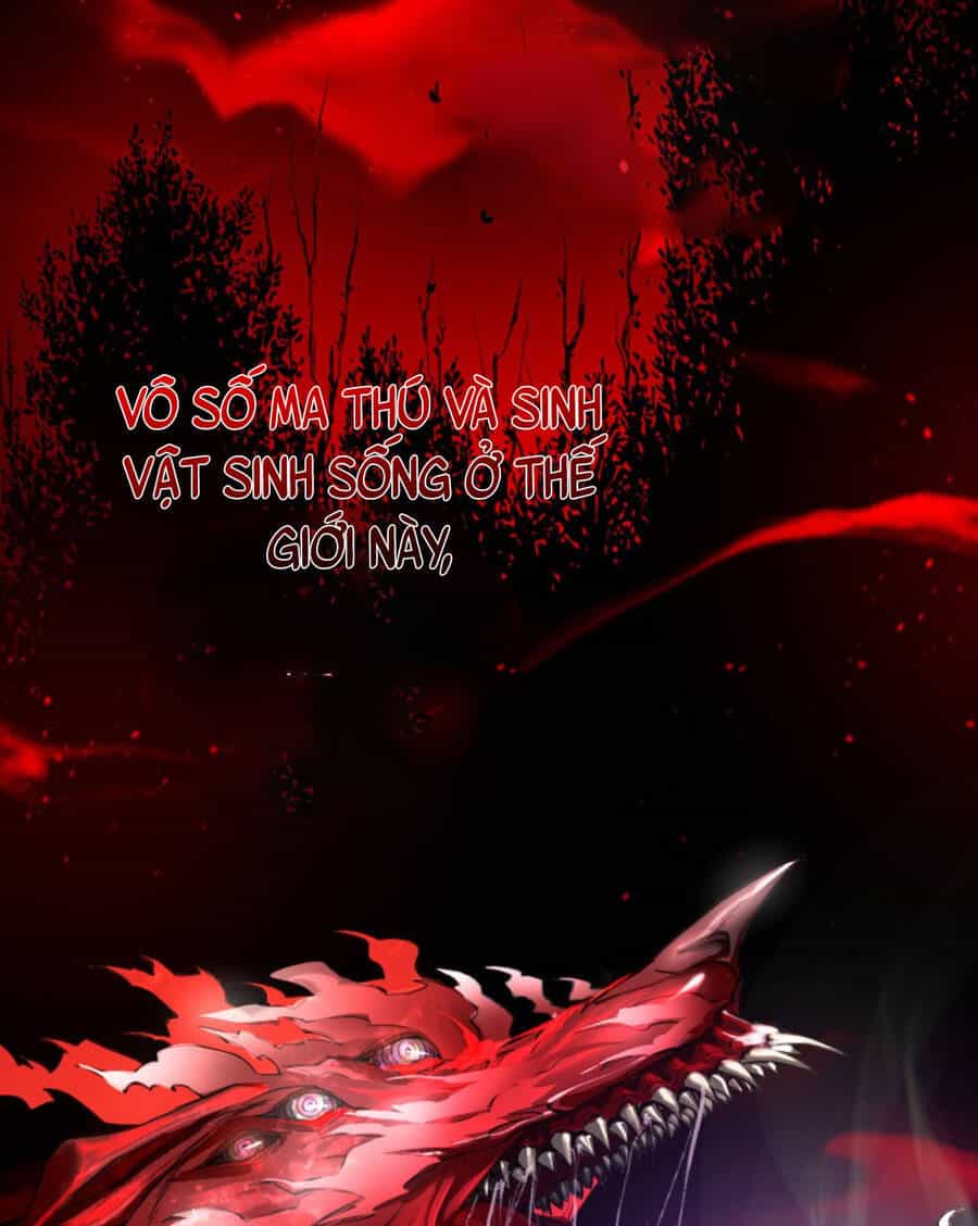 Thám Hiểm Giả Vô Cực - Chương 1 - ảnh 14