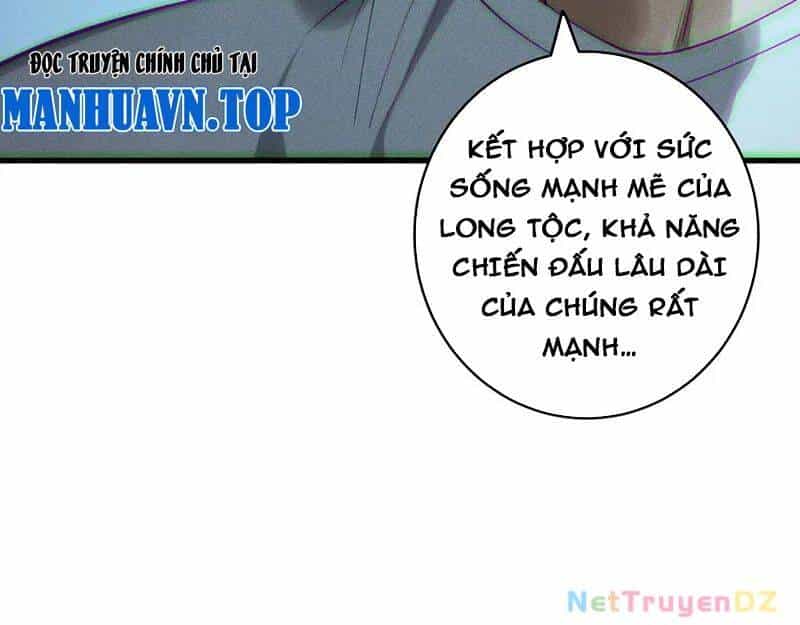 Thảm Họa Tử Linh Sư - Chương 143 - ảnh 33