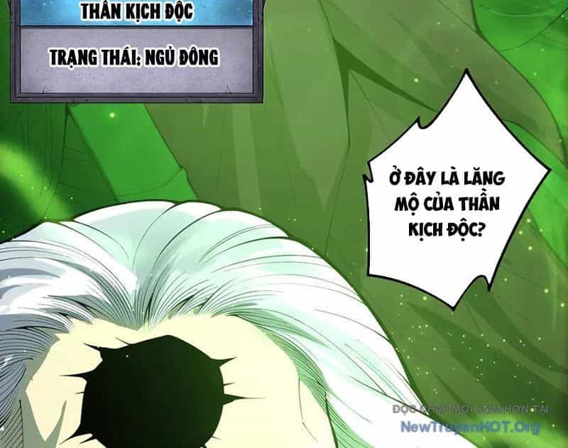 Thảm Họa Tử Linh Sư - Chương 211 - ảnh 116