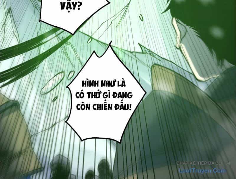 Thảm Họa Tử Linh Sư - Chương 241 - ảnh 113