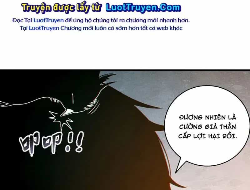 Thảm Họa Tử Linh Sư - Chương 243 - ảnh 127