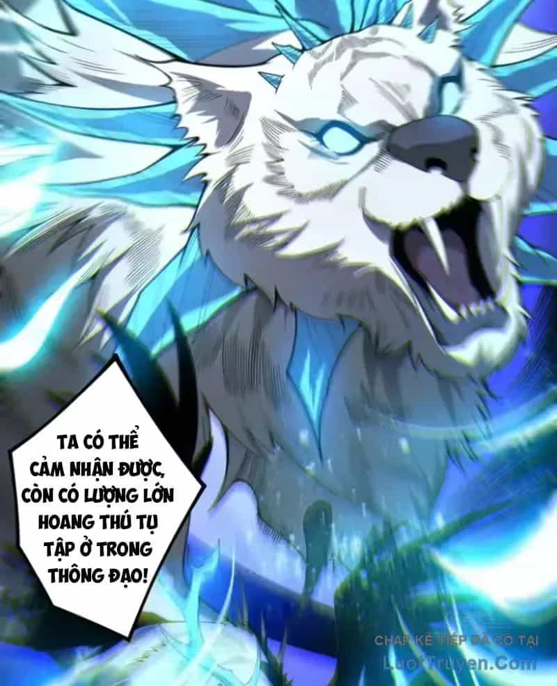 Thảm Họa Tử Linh Sư - Chương 252 - ảnh 73