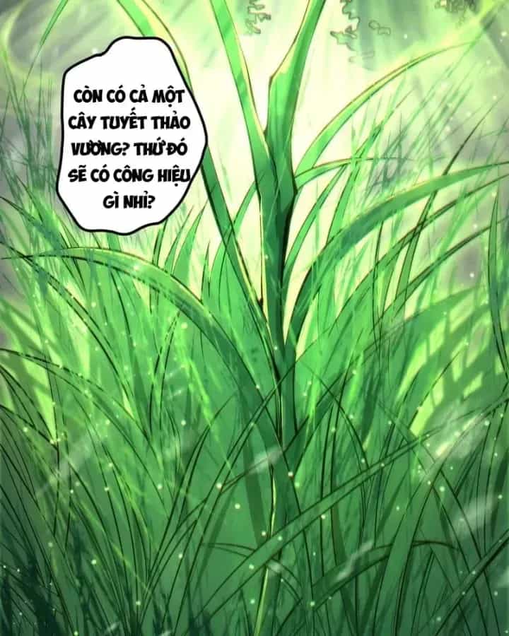 Thảm Họa Tử Linh Sư - Chương 274 - ảnh 92