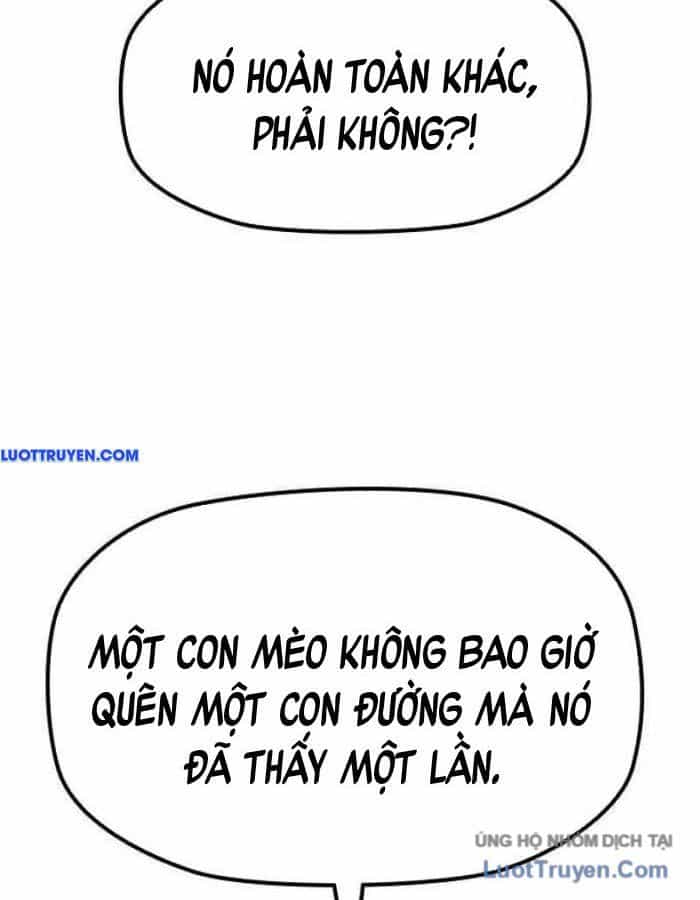 Thần Chết Bậc Thầy Của Âm Giới - Chương 9 - ảnh 20