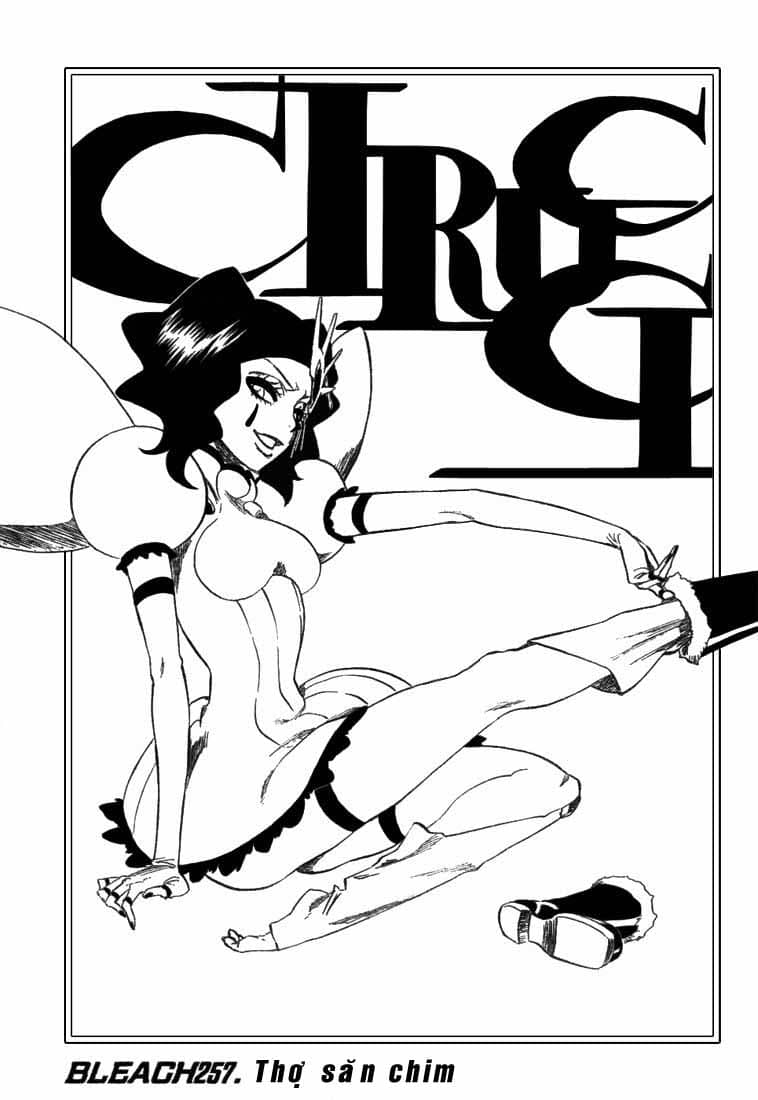 Thần Chết Ichigo - Chương 257 - ảnh 4