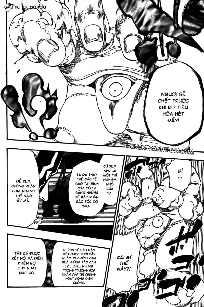 Thần Chết Ichigo - Chương 643 - ảnh 16