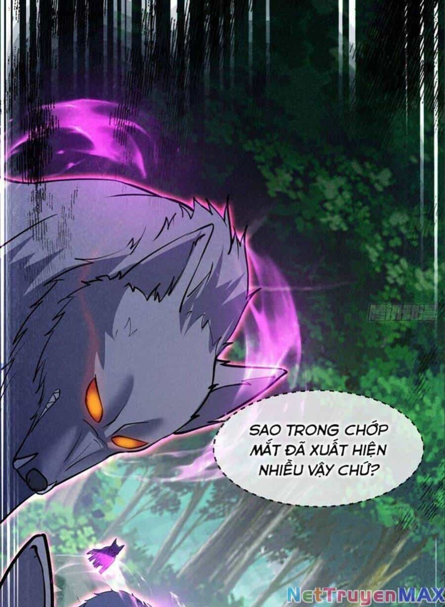 Thần Đế Giáng Lâm: Ta Có Trăm Triệu Điểm Thuộc Tính - Chương 49 - ảnh 56
