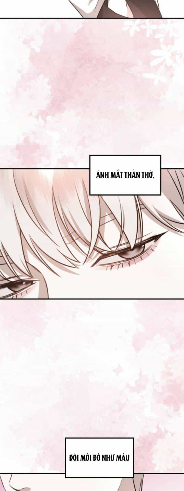 Thần Hổ Jangsan - Chương 10 - ảnh 8