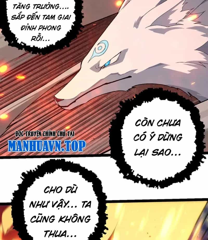 Thần Hổ Jangsan - Chương 48 - ảnh 61