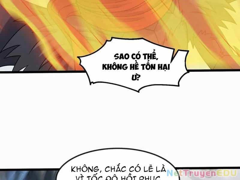 Thần Minh Trở Lại: Ta Có Trong Tay Triệu Vạn Chư Thần! - Chương 37 - ảnh 10