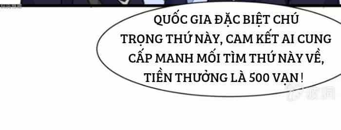 Thần Nhãn Giám Định Sư - Chương 15 - ảnh 25