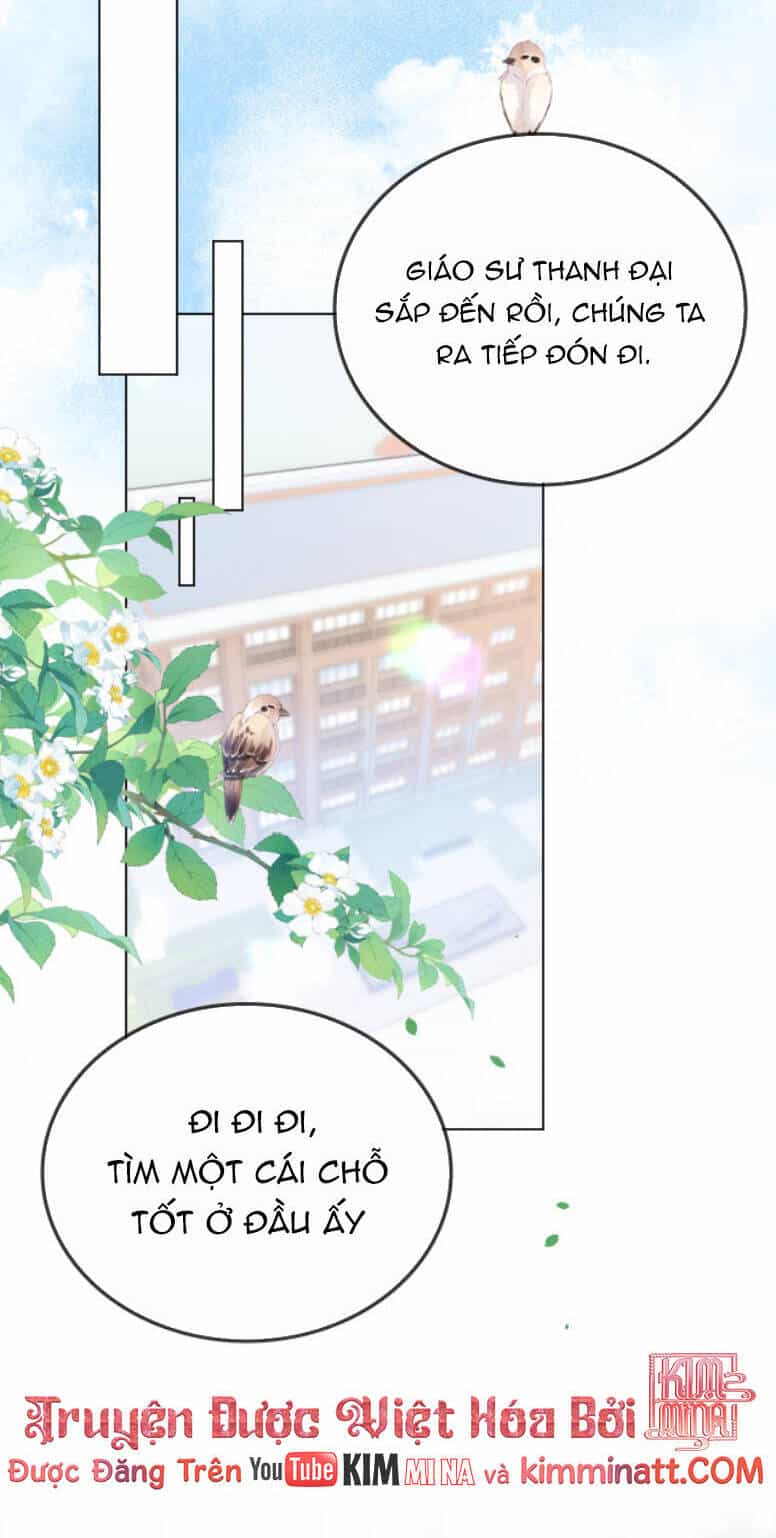 Thân Phận Của Phu Nhân Làm Chấn Động Cả Thành Phố. - Chương 33 - ảnh 7