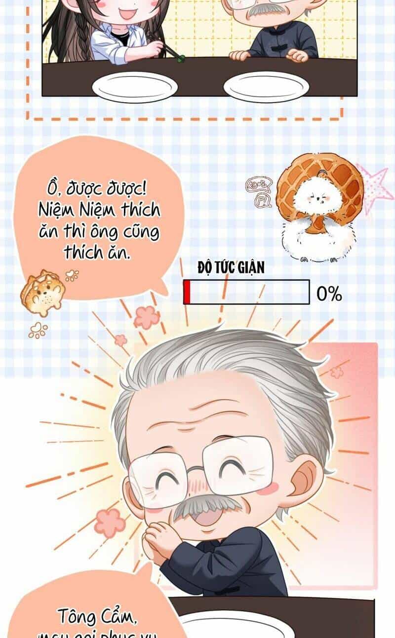 Thân Phận Của Phu Nhân Làm Chấn Động Cả Thành Phố. - Chương 4 - ảnh 25