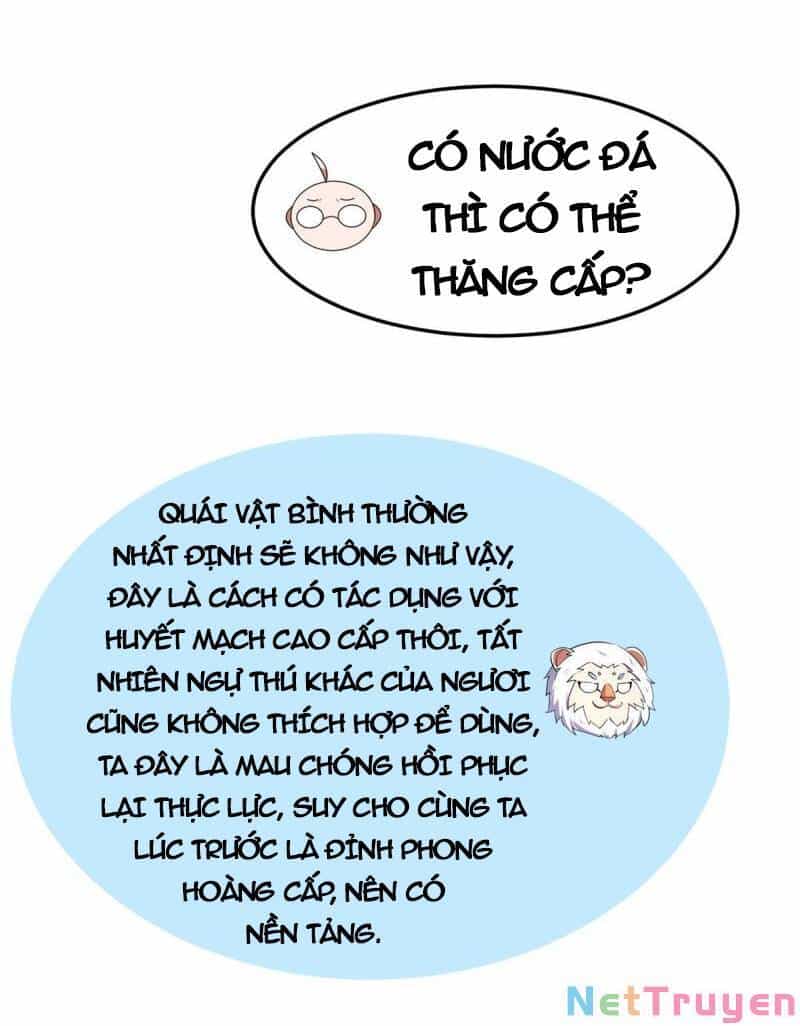 Thần Sủng Tiến Hóa - Chương 145 - ảnh 32
