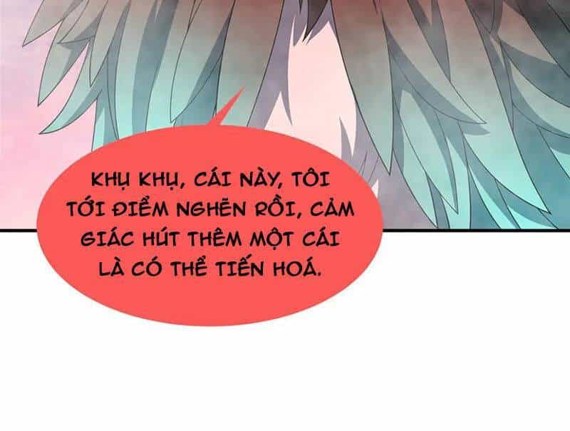 Thần Sủng Tiến Hóa - Chương 351 - ảnh 19