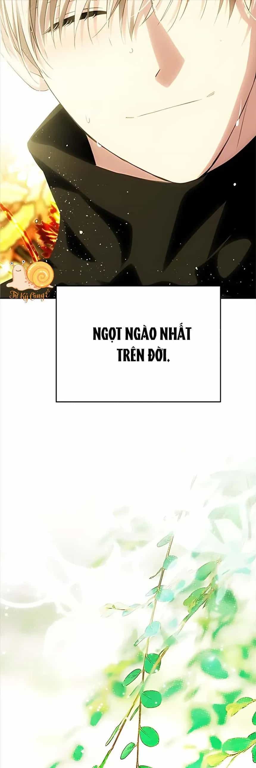 Thần Thoại Mất Tích Và Thiên Tài Phép Thuật - Chương 36 - ảnh 21