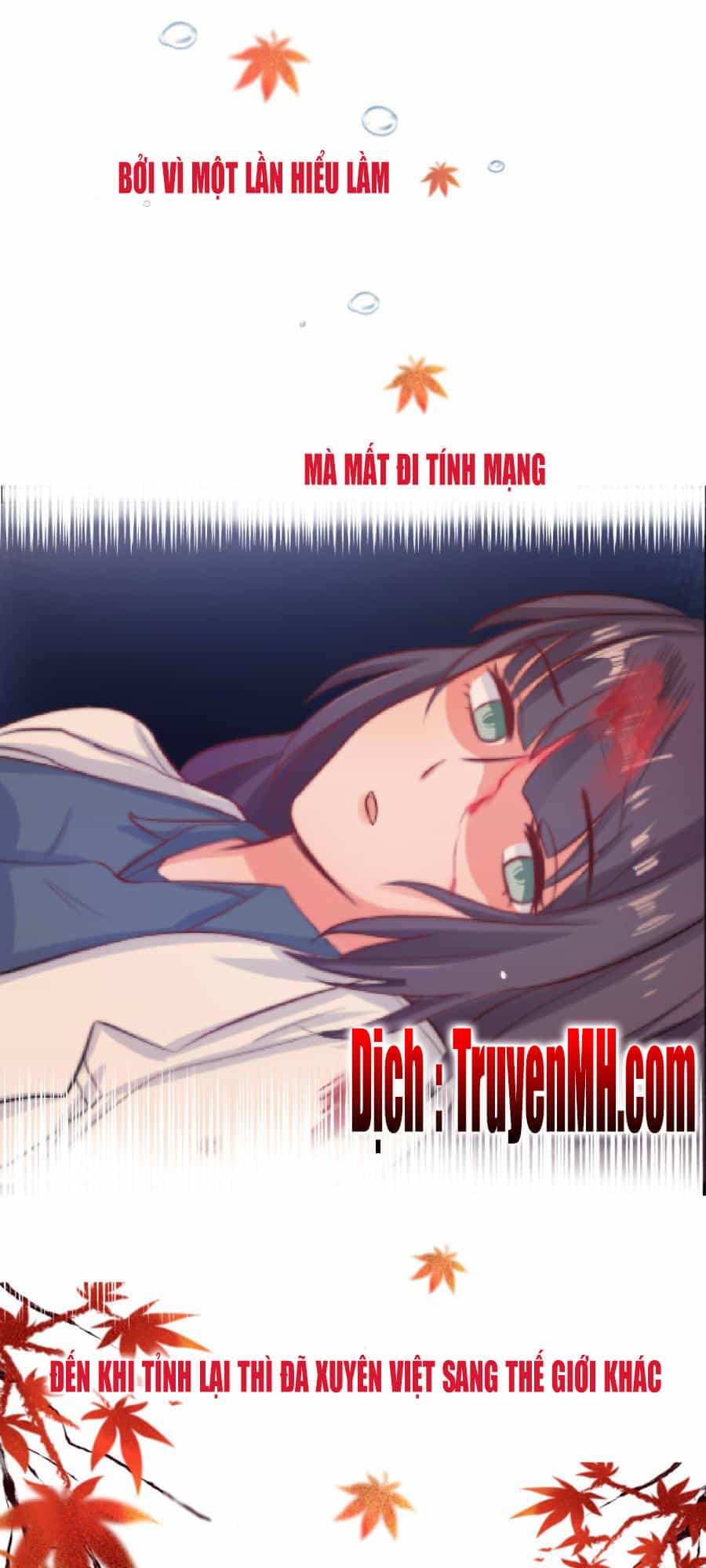 Thần Y Tiểu Thiếp Của Tà Quân - Chương 0 - ảnh 6