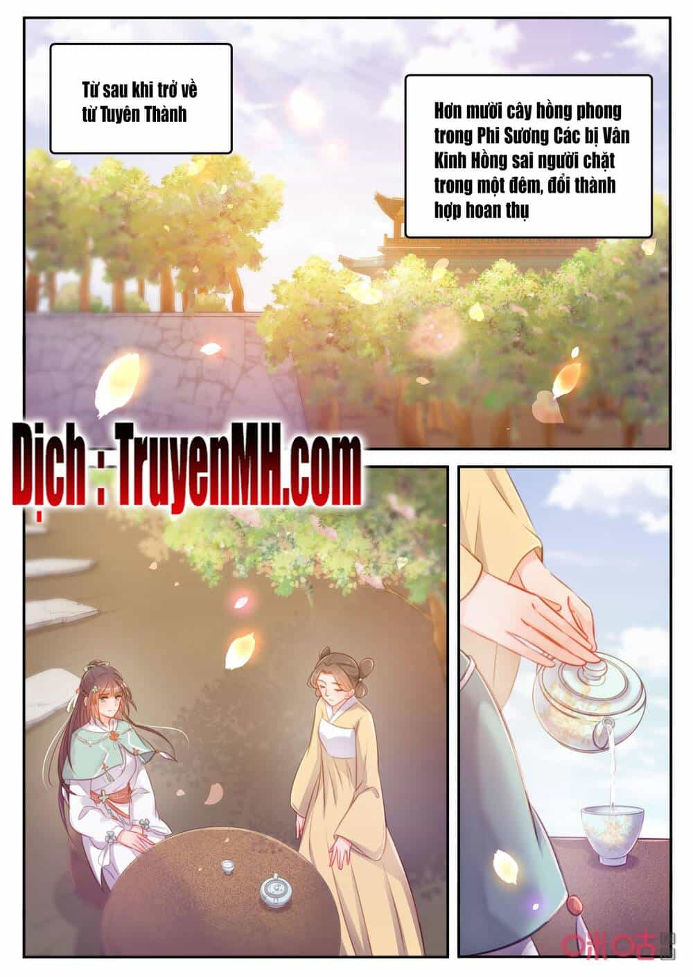 Thần Y Tiểu Thiếp Của Tà Quân - Chương 51 - ảnh 5