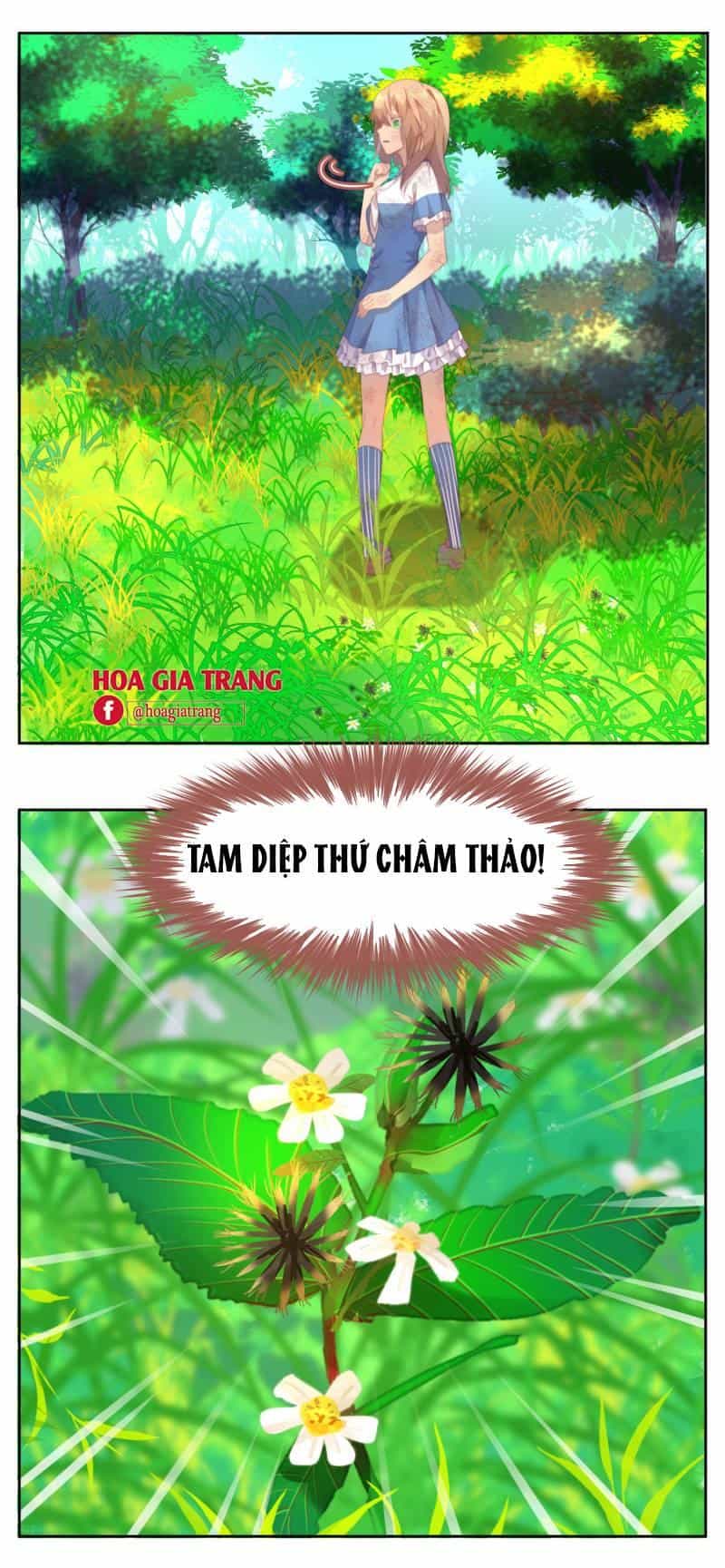 Thanh Âm Giai Điệu Phản Công - Chương 29 - ảnh 12